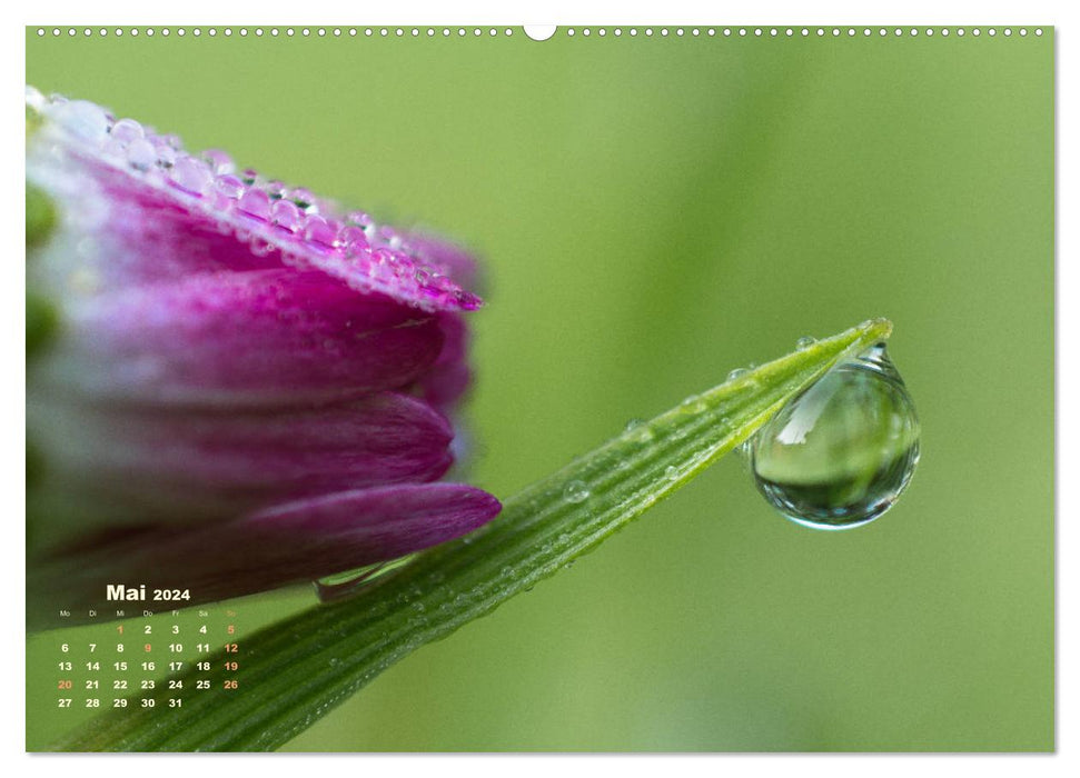 Kleine Begegnungen (CALVENDO Wandkalender 2024)