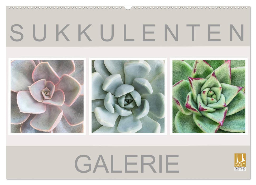 Succulent Gallery (CALVENDO Wall Calendar 2024) 