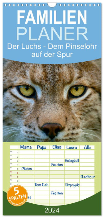 Le lynx - sur les traces de l'oreille en brosse (Agenda familial CALVENDO 2024) 