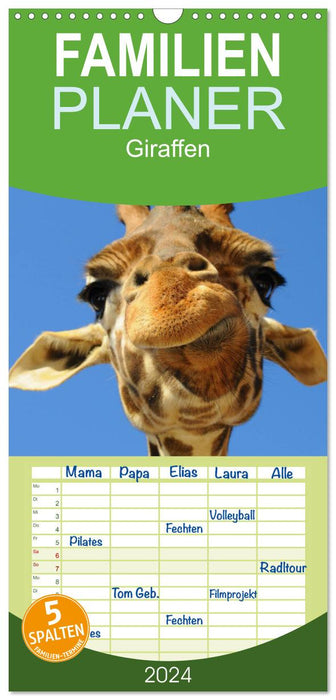 Giraffen (CALVENDO Familienplaner 2024)
