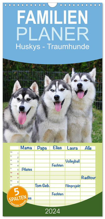 Huskies - chiens de rêve (Agenda familial CALVENDO 2024) 