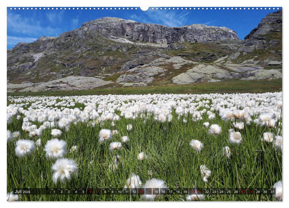 Norway 2024 - Mountains, Fjords, Moors (CALVENDO Premium Wall Calendar 2024) 
