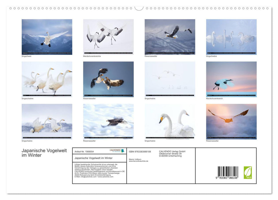 Japanese birdlife in winter (CALVENDO Premium Wall Calendar 2024) 