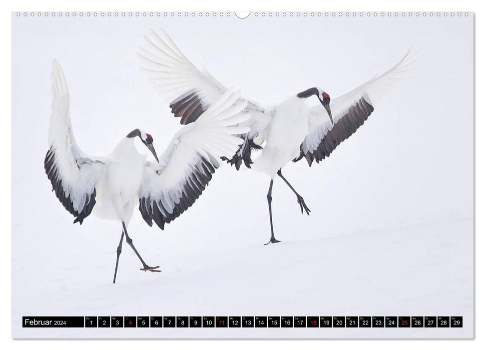 Les oiseaux japonais en hiver (calendrier mural CALVENDO 2024) 