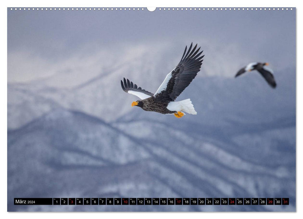 Japanische Vogelwelt im Winter (CALVENDO Wandkalender 2024)