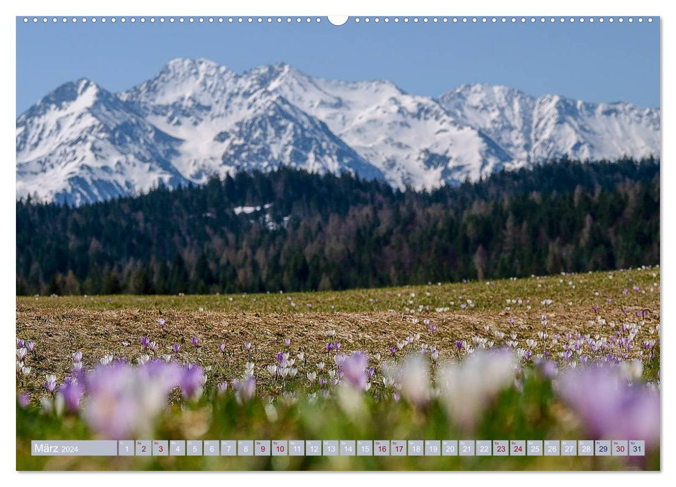 Mein Tirol und Alpenvorland (CALVENDO Wandkalender 2024)