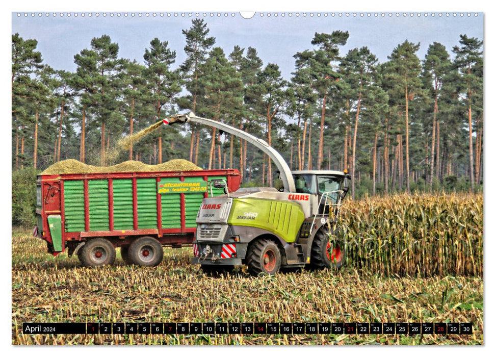 CORN HARVEST (CALVENDO Premium Wall Calendar 2024) 