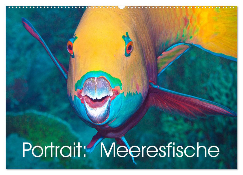 Portrait: Sea fish (CALVENDO wall calendar 2024) 