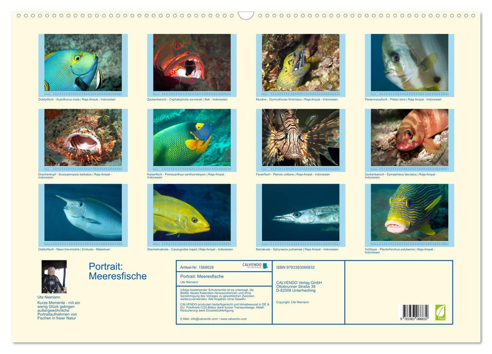 Portrait: Sea fish (CALVENDO wall calendar 2024) 