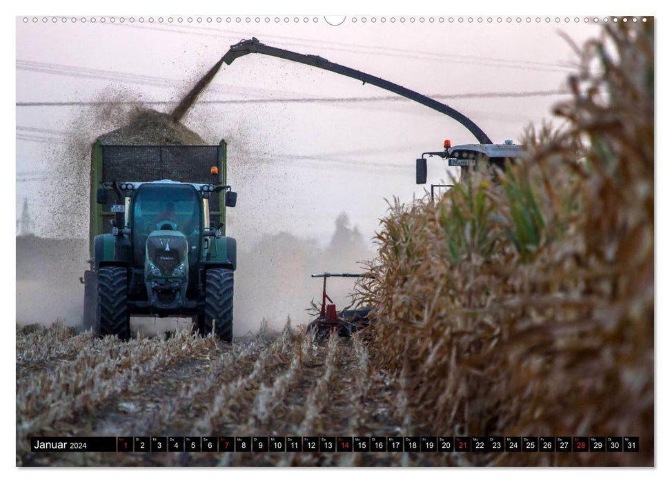 CORN HARVEST (CALVENDO wall calendar 2024) 