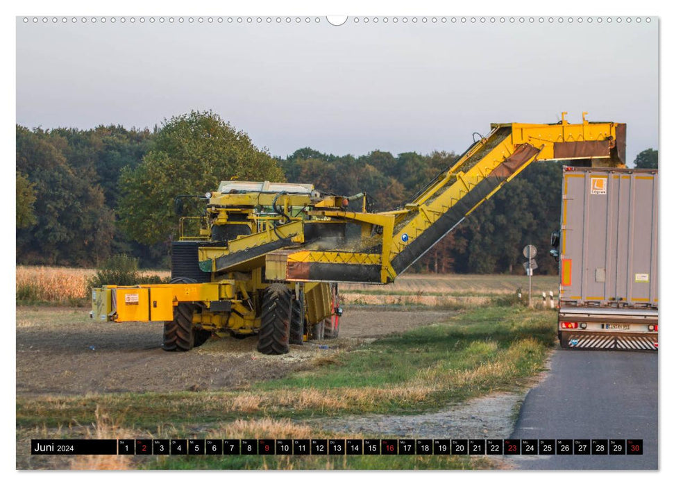 CORN HARVEST (CALVENDO wall calendar 2024) 