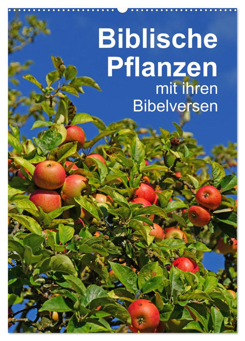 Biblische Pflanzen mit ihren Bibelversen (CALVENDO Wandkalender 2024)
