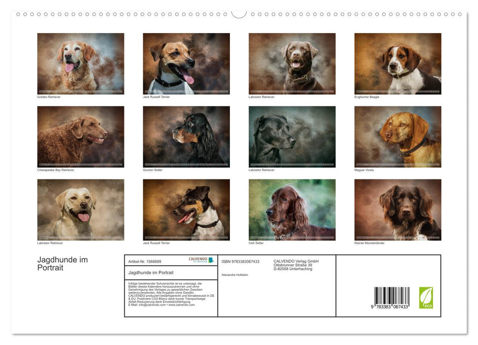 Hunting dogs in portrait (CALVENDO Premium wall calendar 2024) 