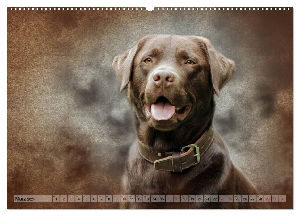 Hunting dogs in portrait (CALVENDO Premium wall calendar 2024) 