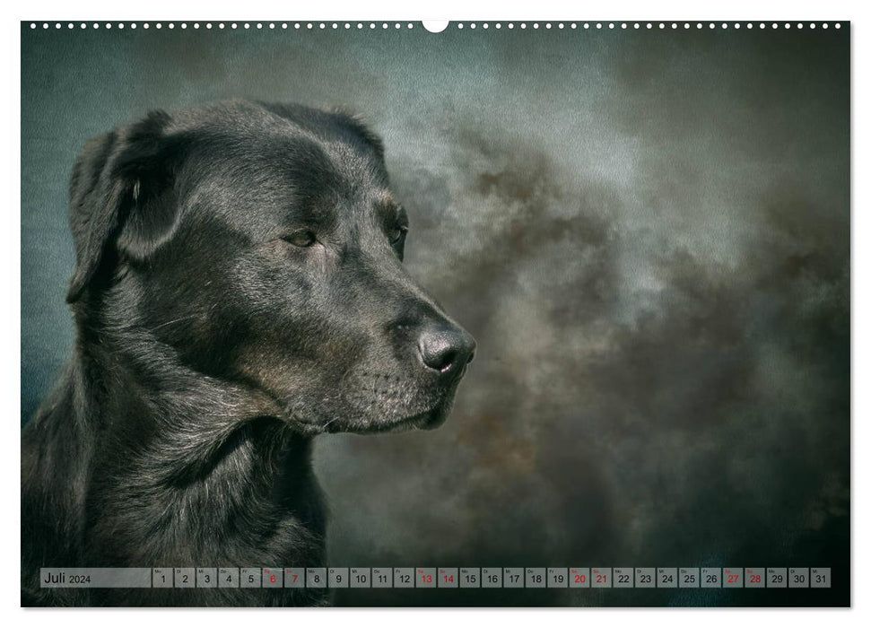 Hunting dogs in portrait (CALVENDO Premium wall calendar 2024) 