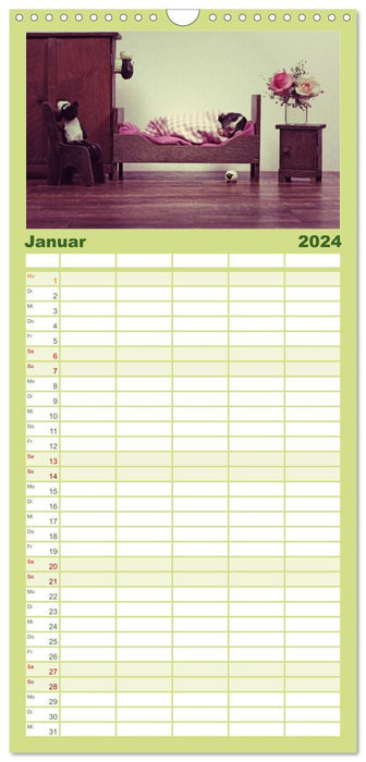 Der Bordercollie-Kalender (CALVENDO Familienplaner 2024)