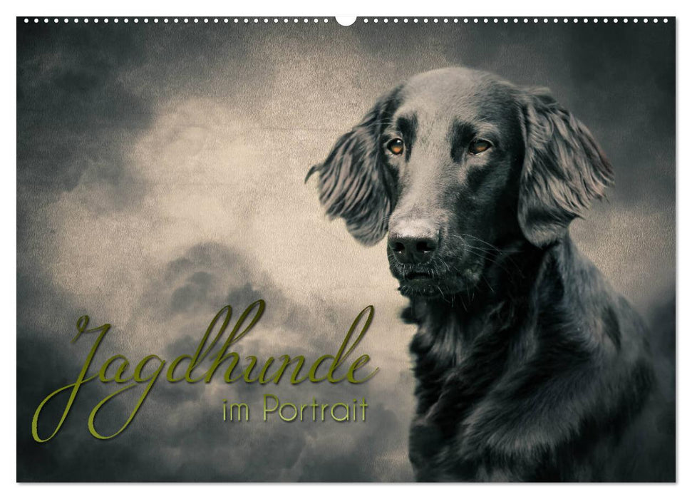 Jagdhunde im Portrait (CALVENDO Wandkalender 2024)