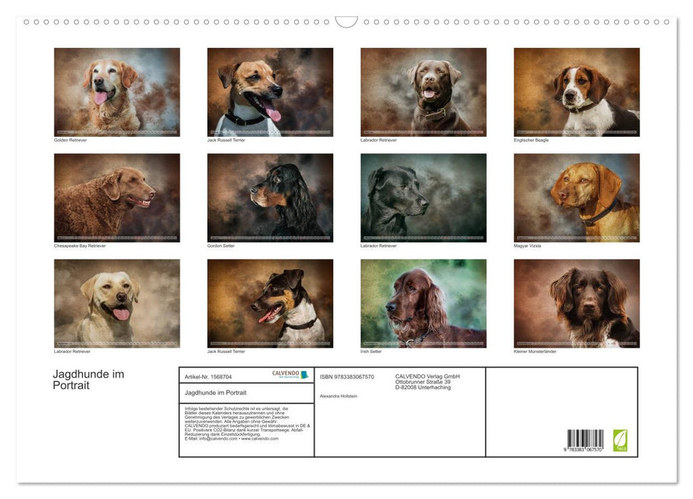 Hunting dogs in portrait (CALVENDO wall calendar 2024) 