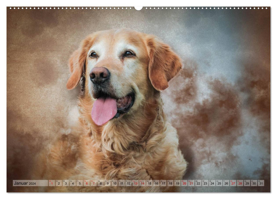 Hunting dogs in portrait (CALVENDO wall calendar 2024) 