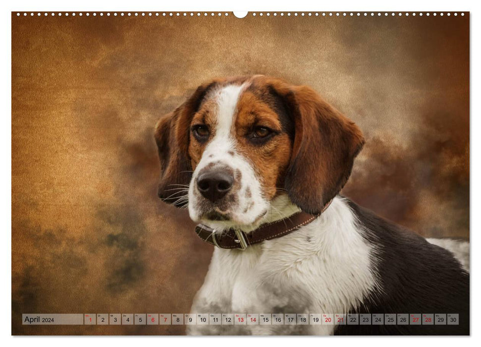 Hunting dogs in portrait (CALVENDO wall calendar 2024) 