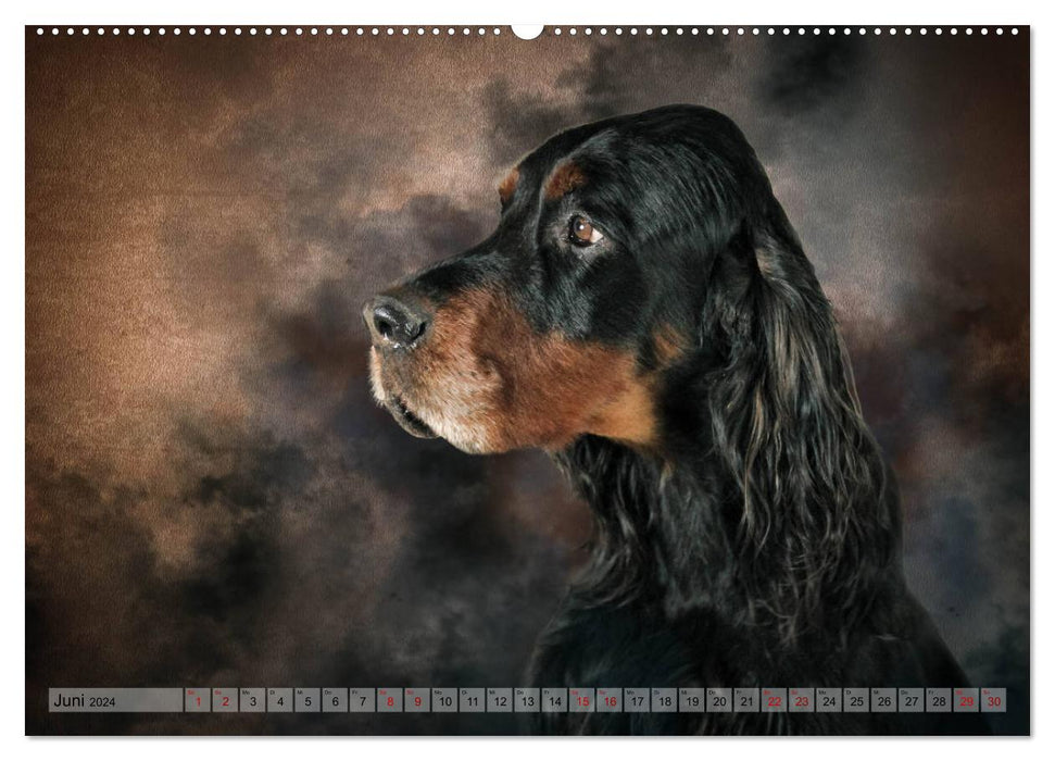 Hunting dogs in portrait (CALVENDO wall calendar 2024) 