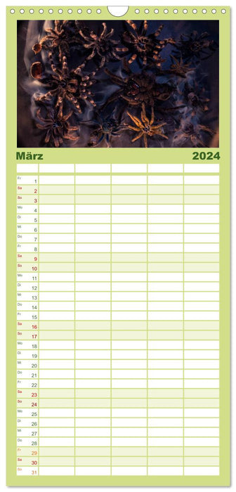 Mystische Vogelspinnen (CALVENDO Familienplaner 2024)