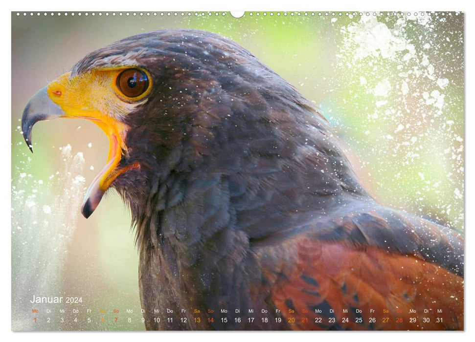 Hunting birds (CALVENDO Premium wall calendar 2024) 