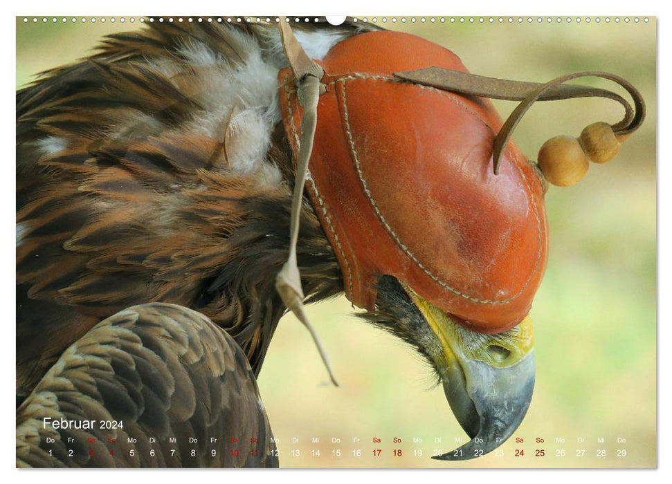Oiseaux de chasse (Calendrier mural CALVENDO Premium 2024) 