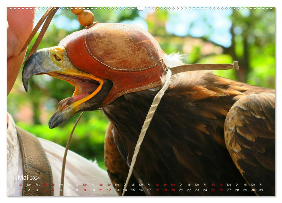Hunting birds (CALVENDO Premium wall calendar 2024) 