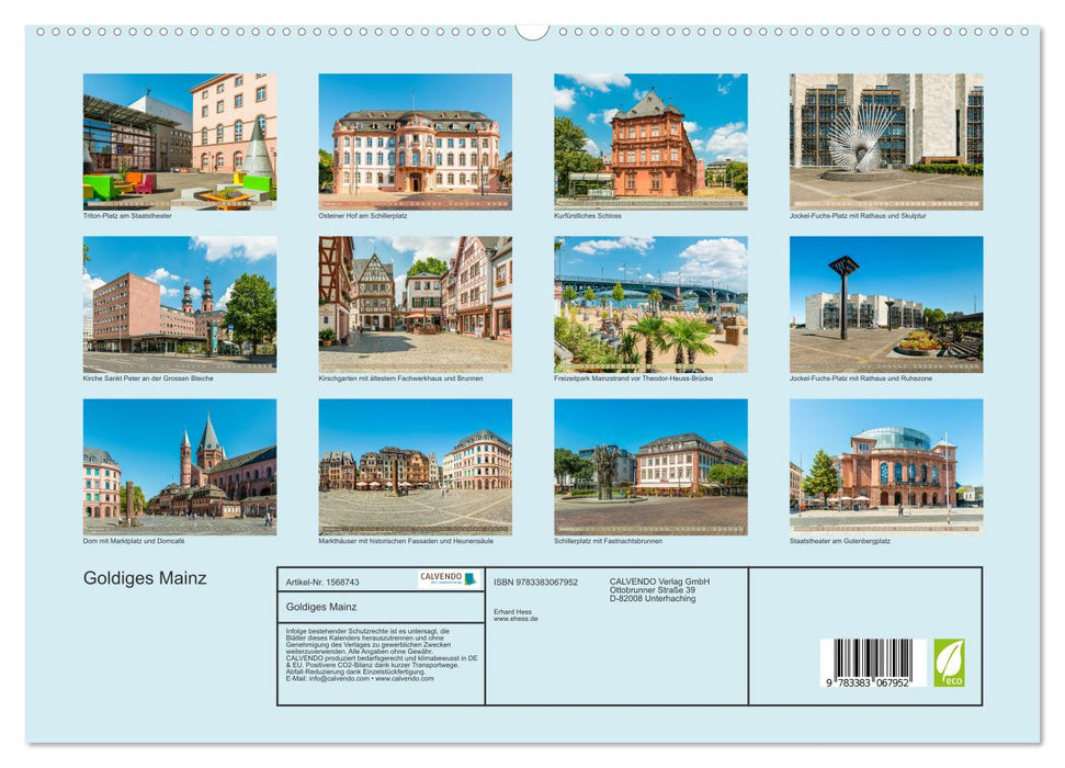 Goldiges Mainz (CALVENDO Premium Wandkalender 2024)