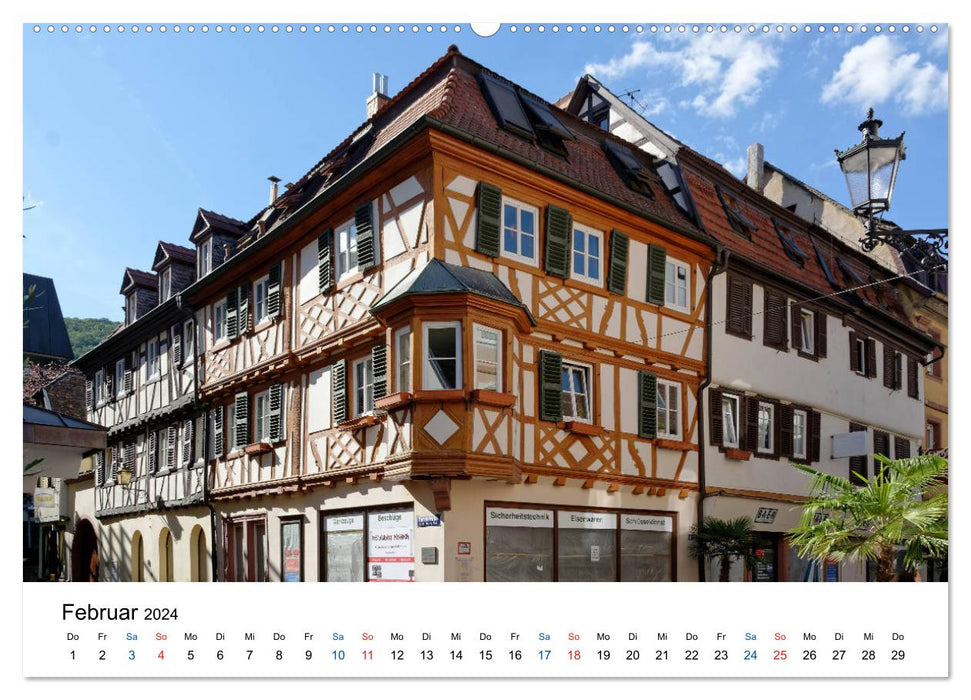 Neustadt an der Weinstraße - a matter of opinion (CALVENDO Premium Wall Calendar 2024) 