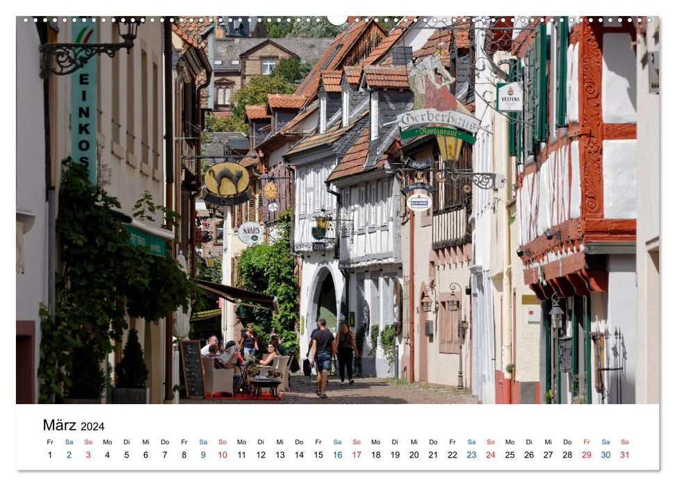 Neustadt an der Weinstraße - a matter of opinion (CALVENDO Premium Wall Calendar 2024) 