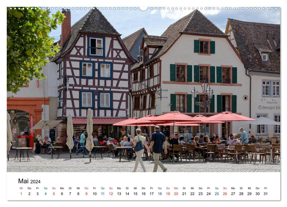 Neustadt an der Weinstraße - a matter of opinion (CALVENDO Premium Wall Calendar 2024) 