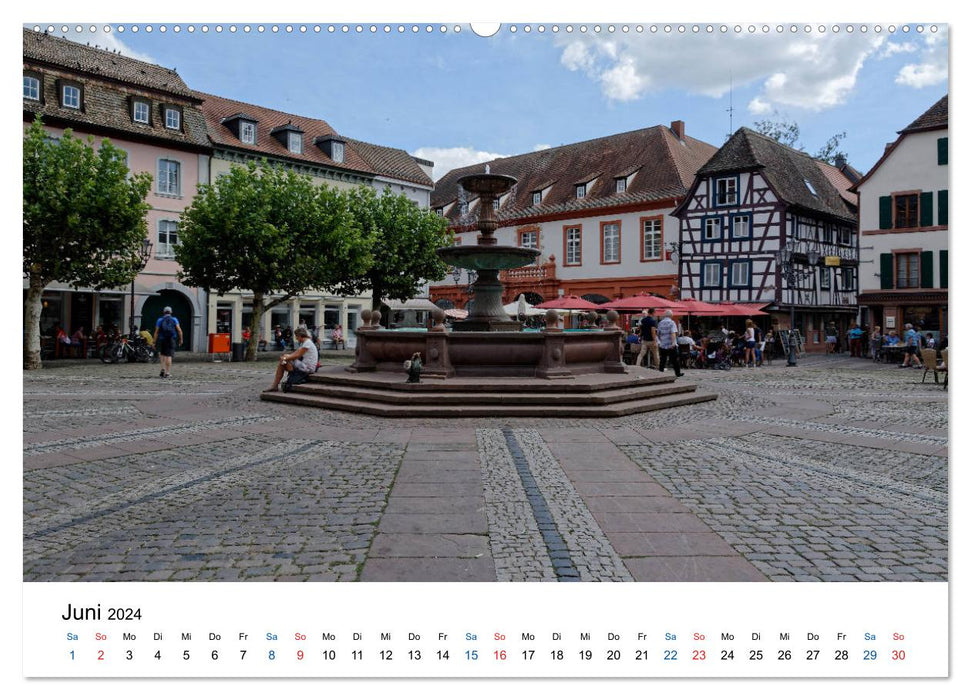Neustadt an der Weinstraße - Ansichtssache (CALVENDO Premium Wandkalender 2024)
