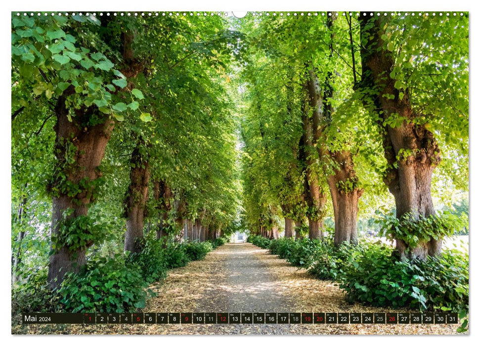 Holstein Switzerland - Five Lakes Landscape (CALVENDO Wall Calendar 2024) 