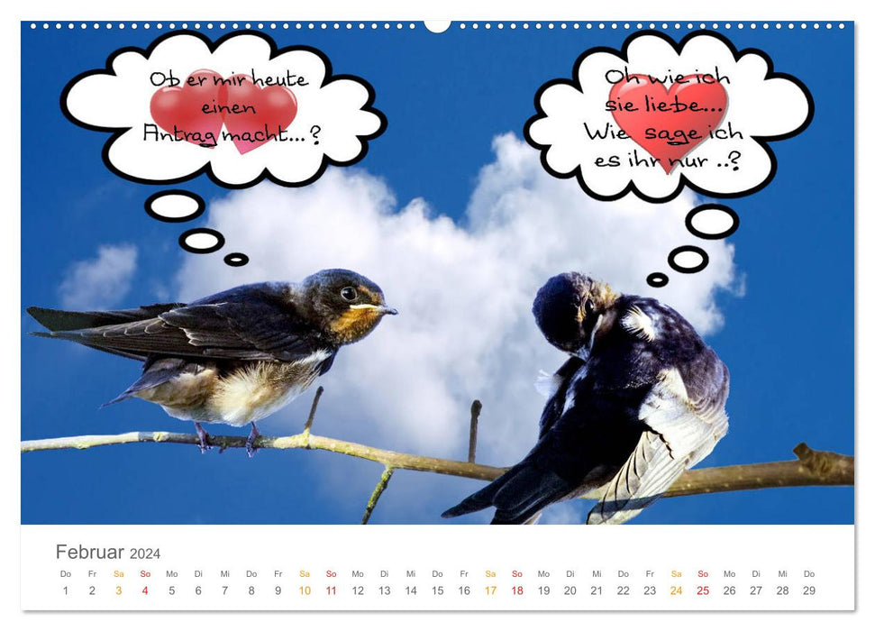 When Swallows Talk (CALVENDO Premium Wall Calendar 2024) 