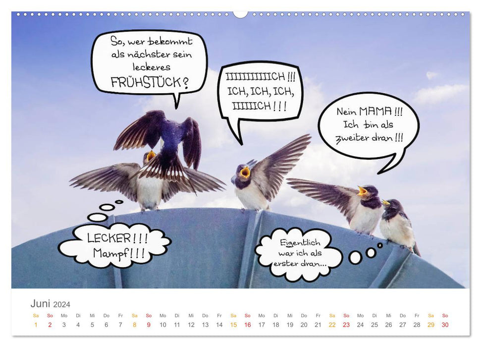 When Swallows Talk (CALVENDO Premium Wall Calendar 2024) 