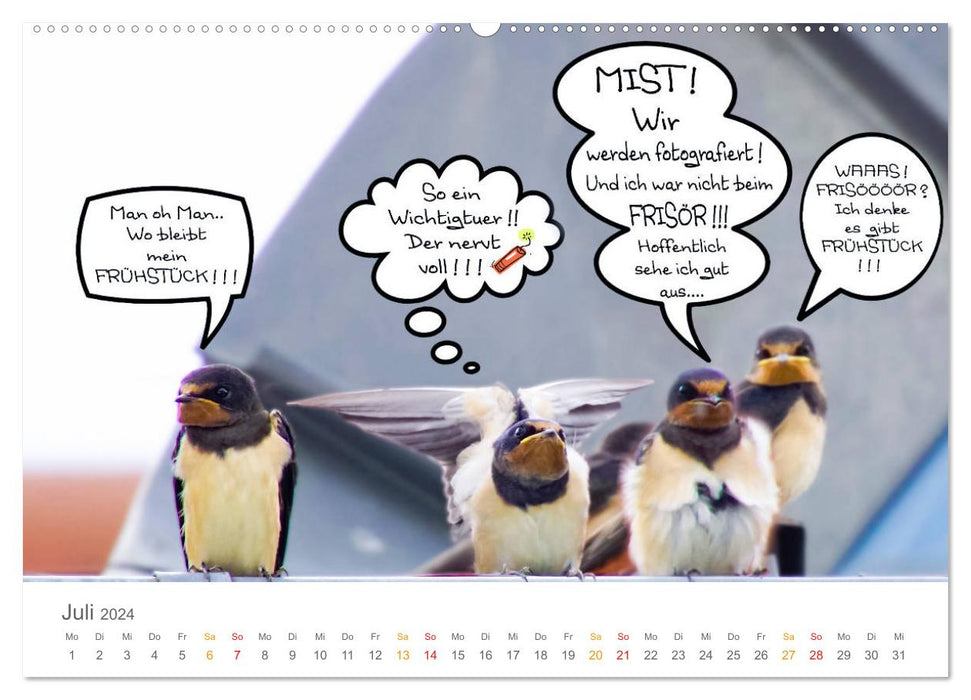 When Swallows Talk (CALVENDO Premium Wall Calendar 2024) 