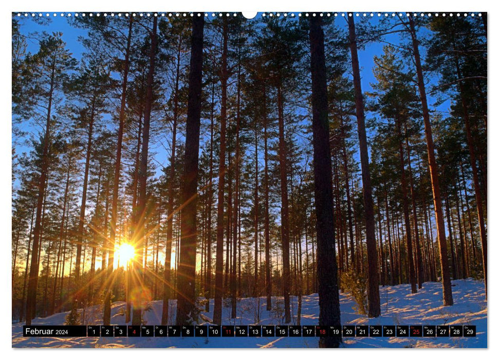 Travel destination Sweden (CALVENDO wall calendar 2024) 