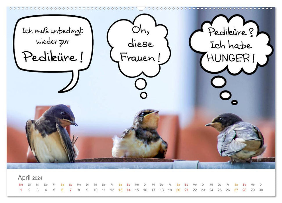 When swallows talk (CALVENDO wall calendar 2024) 