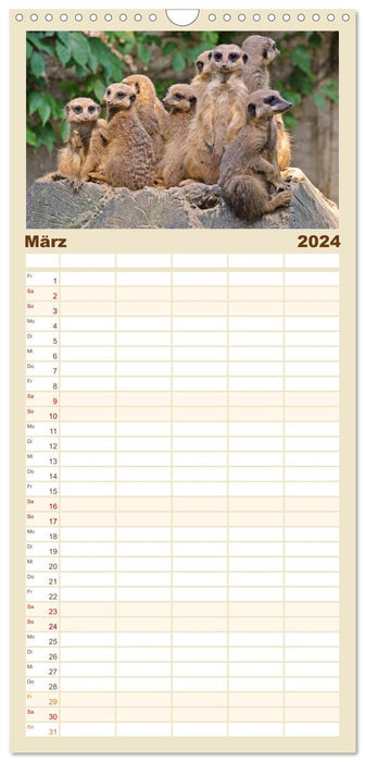 Erdmännchen (CALVENDO Familienplaner 2024)