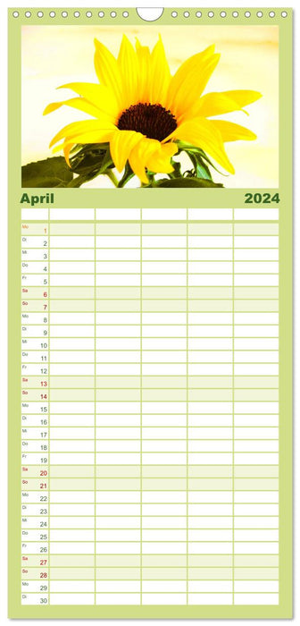 Sonnenblumen - die Blumen der Lebensfreude (CALVENDO Familienplaner 2024)