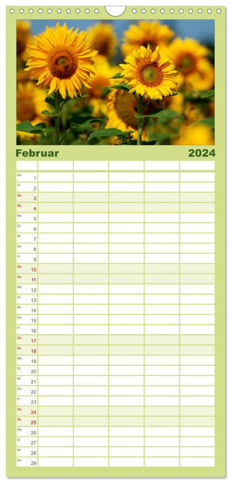 Sonnenblumen (CALVENDO Familienplaner 2024)