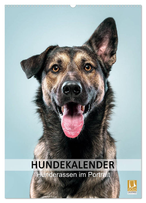 Hundekalender - Hunderassen im Portrait (CALVENDO Wandkalender 2024)