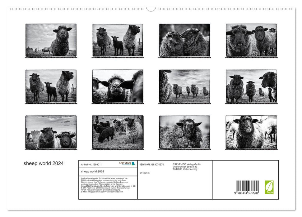 le monde des moutons (Calendrier mural CALVENDO Premium 2024) 