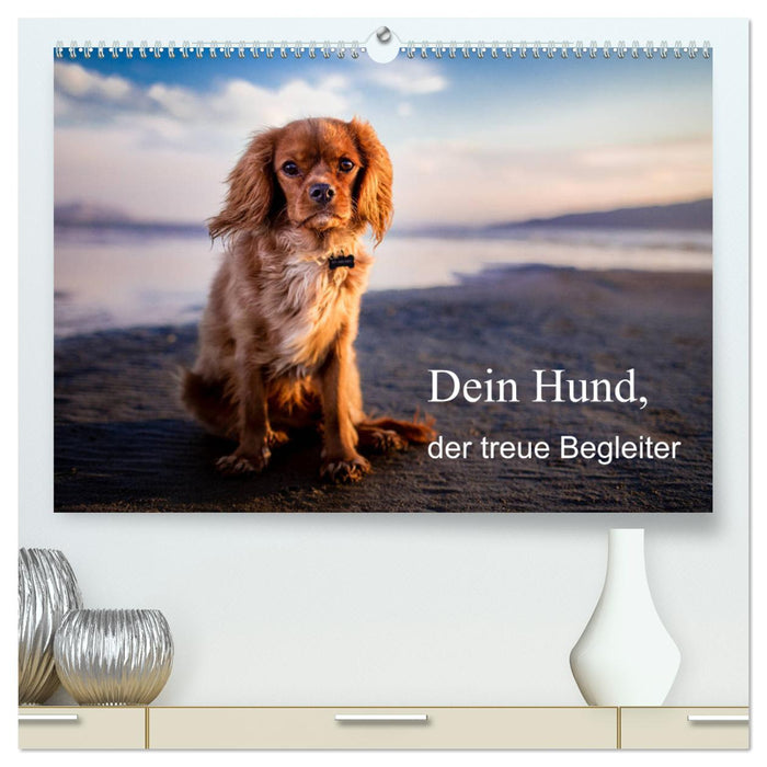 Your dog the loyal companion (CALVENDO Premium Wall Calendar 2024) 