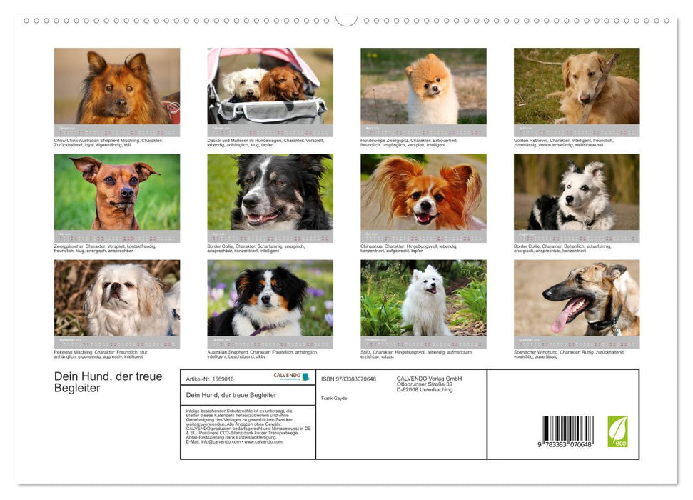 Your dog the loyal companion (CALVENDO Premium Wall Calendar 2024) 