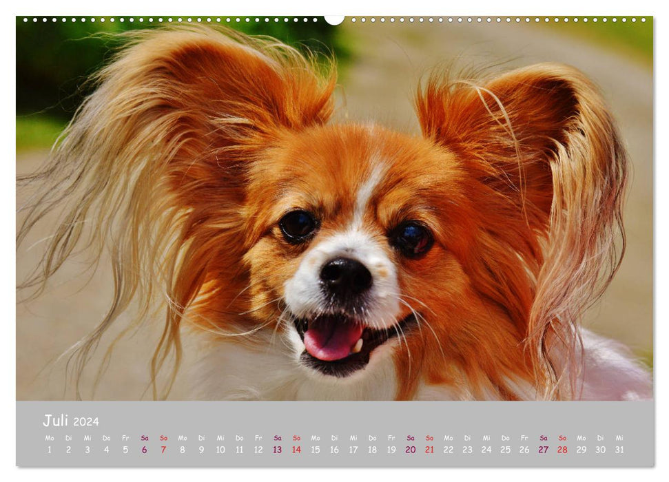 Your dog the loyal companion (CALVENDO Premium Wall Calendar 2024) 