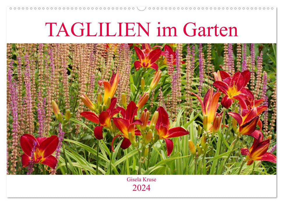 Taglilien im Garten (CALVENDO Wandkalender 2024)