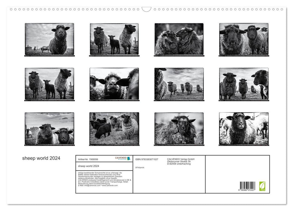 sheep world (CALVENDO Wandkalender 2024)